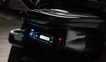 Prosper Eagles 2 Golf Cart full