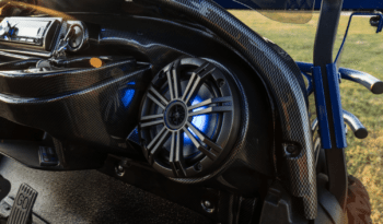 Black and Blue – Lighted Edition full