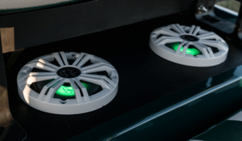 Green Custom Golf Cart full