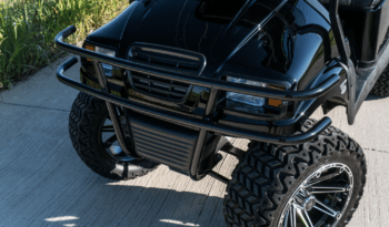 Phantom Black and Silver 2 Golf Cart full