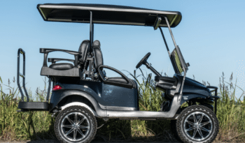 Phantom Black and Silver 2 Golf Cart full