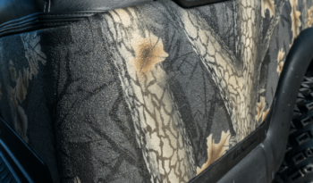 Phantom Black and Red Golf Cart full