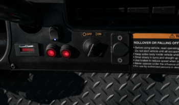 Phantom Black and Red Golf Cart full