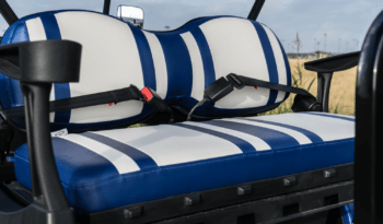 Blue Wheeler Golf Cart full