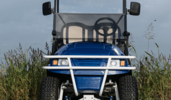Blue Wheeler Golf Cart full