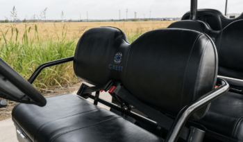 Advanced EV Black 6 Seater Stretch full