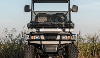 Silver Lightning Golf Cart full