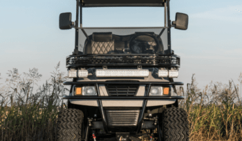 Silver Lightning Golf Cart full