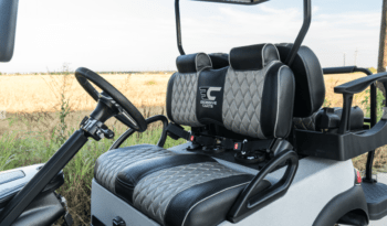 Silver Lightning Golf Cart full