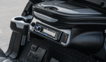 Silver Lightning Golf Cart full