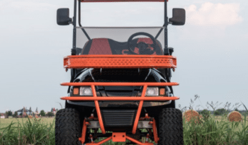 Phantom Black and Orange Golf Cart full