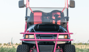 Pinkalicious Golf Cart full