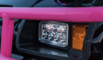 Pinkalicious Golf Cart full