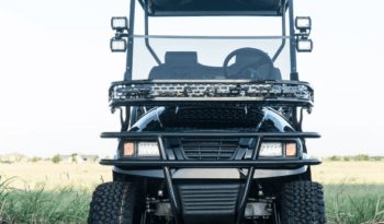 Pitch Black Golf Cart full