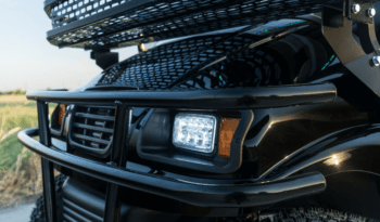 Pitch Black Golf Cart full