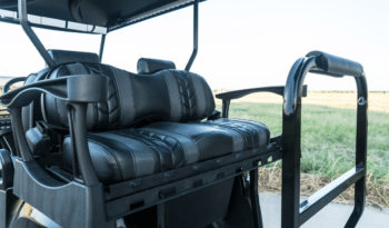 Pitch Black Golf Cart full