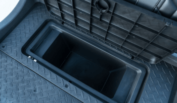 Pitch Black Golf Cart full