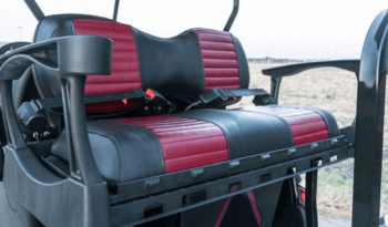 Black Burgundy Club Car full