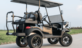 Phantom Black and Silver 2 Golf Cart full