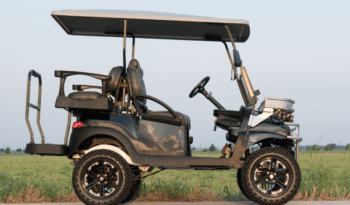 Phantom Black and Silver 2 Golf Cart full