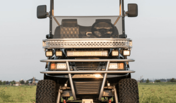 Phantom Black and Silver 2 Golf Cart full