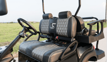 Black and Silver Golf Cart full