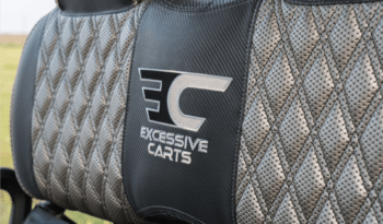 Phantom Black and Silver 2 Golf Cart full