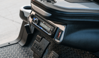 Black and Silver Golf Cart full