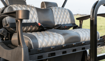 Black and Silver Golf Cart full