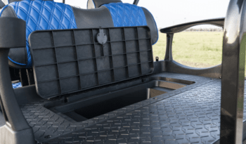 Midnight Blue 2 Golf Cart full