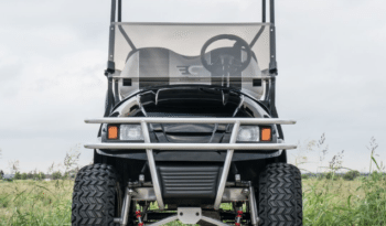 Phantom Black and Silver Golf Cart full