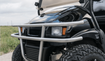 Phantom Black and Silver Golf Cart full