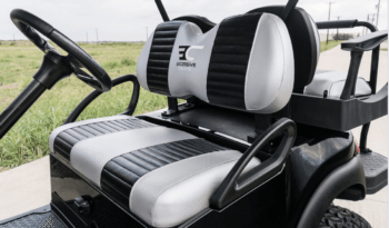 Phantom Black and Silver Golf Cart full