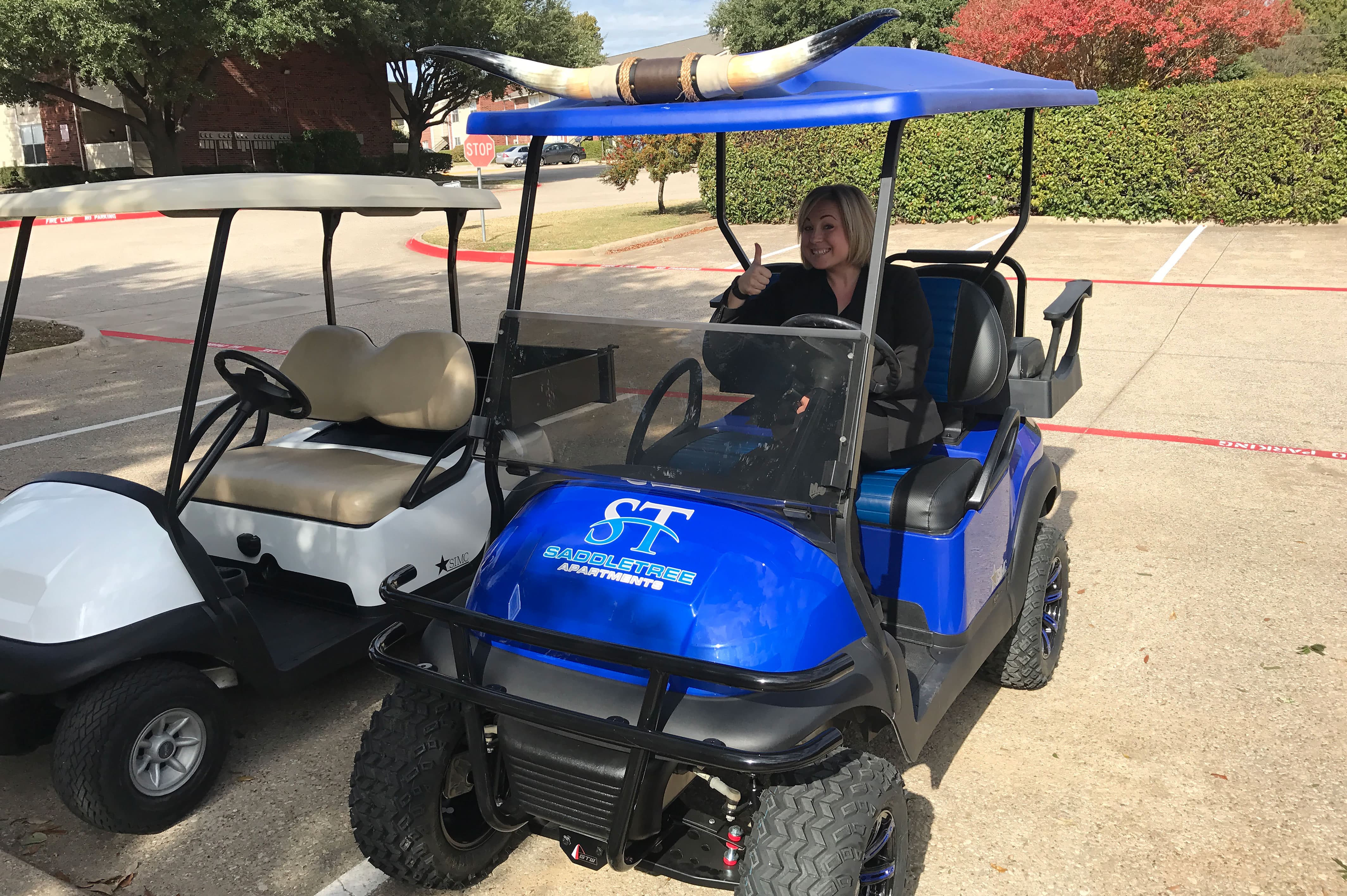 Commercial Golf Carts