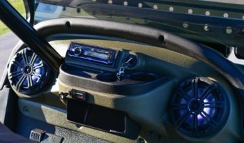 The Fury Golf Cart full