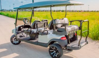 Silver Rhino Six Seater Golf Cart full