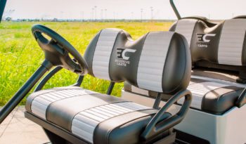 Silver Rhino Six Seater Golf Cart full