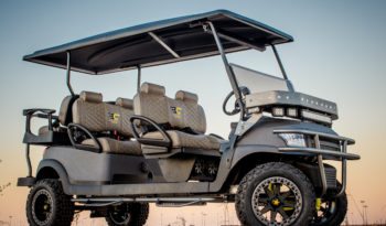 BAMF Six Seater full