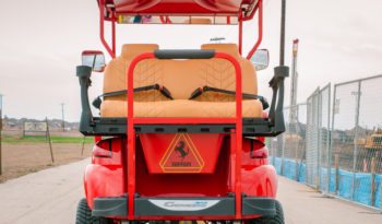 Ferrari Custom Golf Cart full