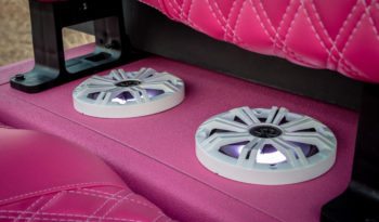 Pinkalicious Golf Cart full